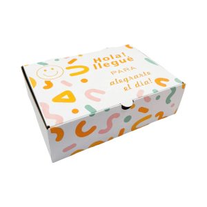 CAJA Nº 6 (llegué) Medidas 24 x 18 x 6,5