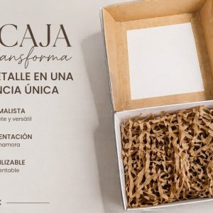 Caja de carton con FAJA color Kraft o Blanco