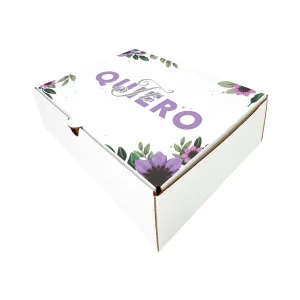 CAJA de cartón medidas 24 x 18 x 6,5 (nº 4)