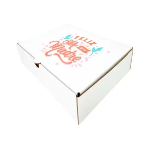 CAJA de cartón medidas 24 x 18 x 6,5 (nº 3)